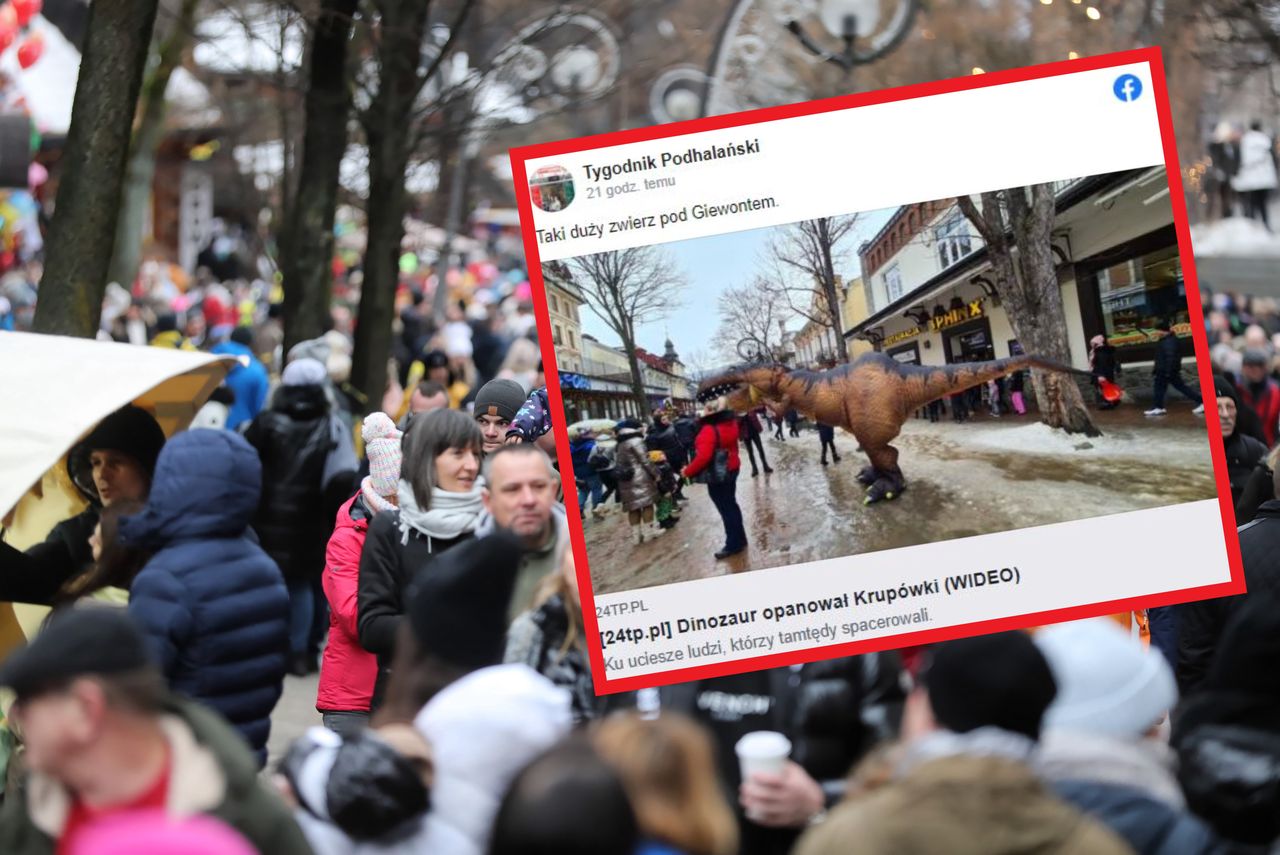 Wzmożone interwencje zakopiańskiej straży miejskiej. Na Krupówkach doszło do obławy na... dinozaura