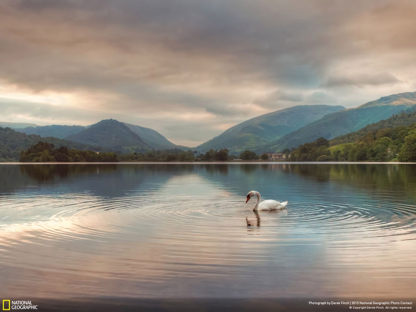 Zachwycają przyroda, czyli najlepsze zgłoszenia National Geographic Photo Contest 2015 20