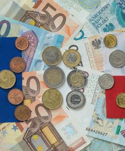 Kamienie milowe? Rewizja? Płatności? Poznajmy język związany z KPO