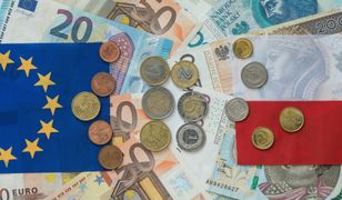 Kamienie milowe? Rewizja? Płatności? Poznajmy język związany z KPO