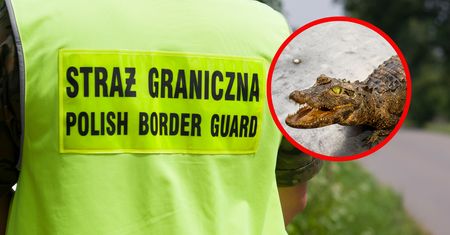 Otworzyli bagażnik i oniemieli. Ukraińcowi grozi do 5 lat