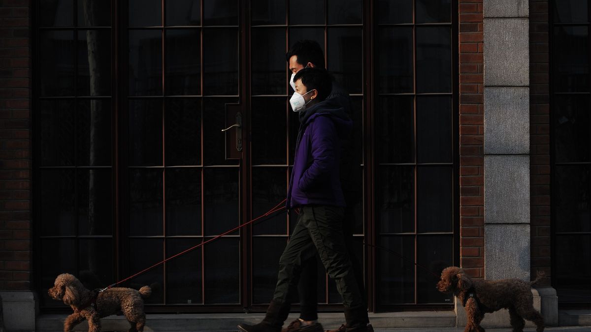 Władze Japonii apelują o zachowanie szczególnej higieny /Zdjęcie ilustracyjne