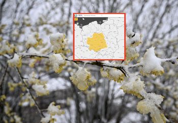 Zimna Zośka przynosi alerty dla połowy Polski. Sypnie grad