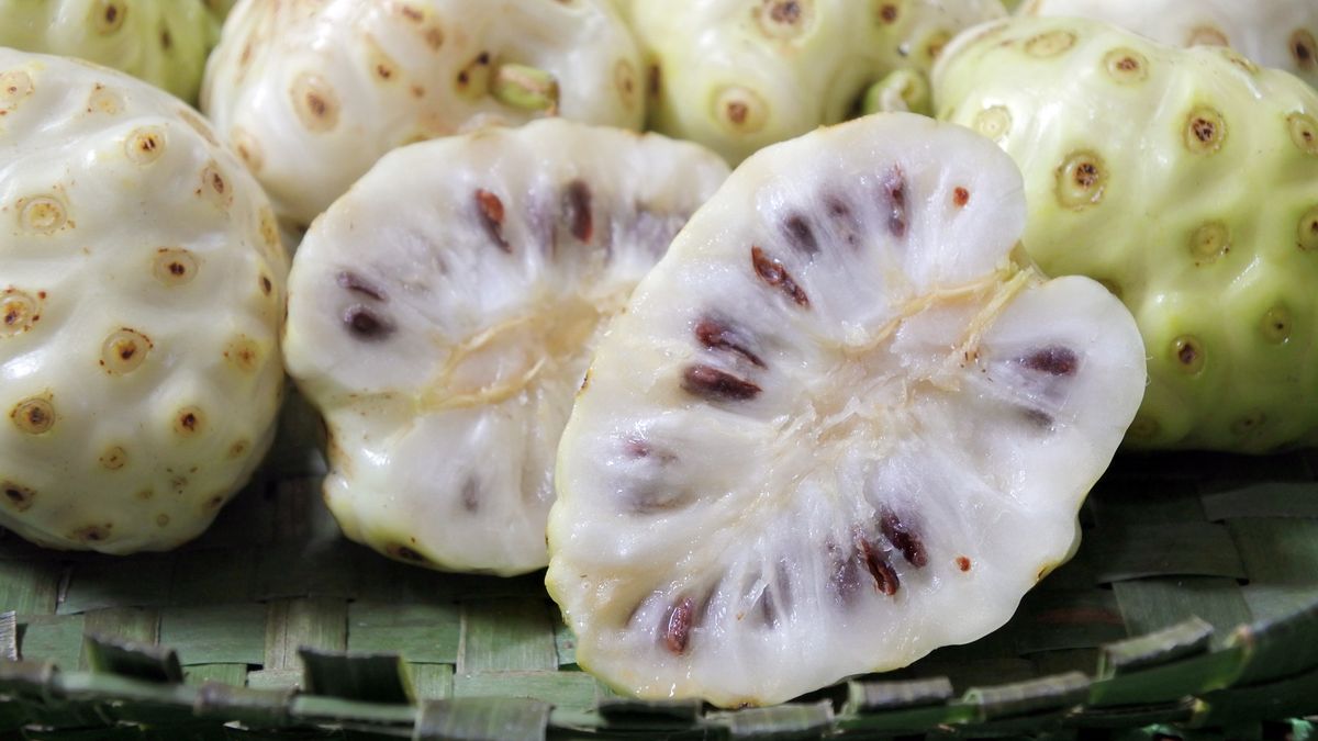 Noni zachwyca kształtem i właściwościami