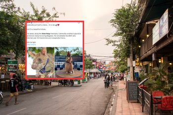 Bohaterski szczur doczekał się pomnika. Zrobił coś wyjątkowego