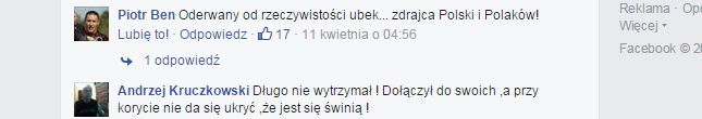 Masz inne poglądy, więc jesteś idiotą! Polacy o Polakach, czyli internetowe dyskusje polityczne 6