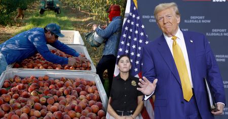 "Albo imigracja, albo kryzys". Ekonomista o USA pod rządami Trumpa