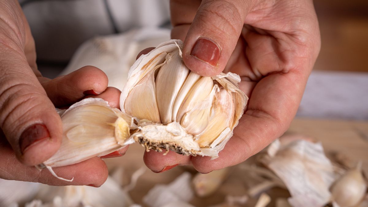 Czym różni się polski czosnek od chińskiego? 