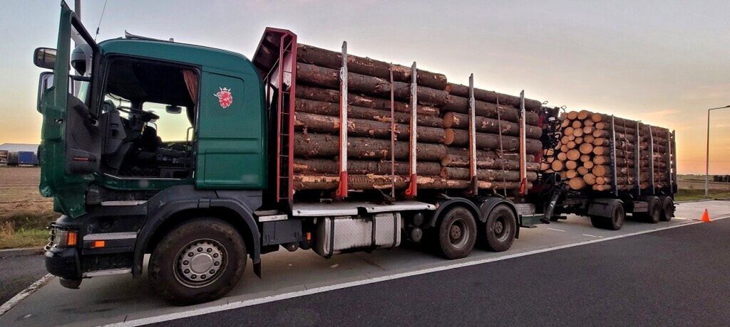 Załadowali drewno "pod korek". Waga pokazała potężny wynik