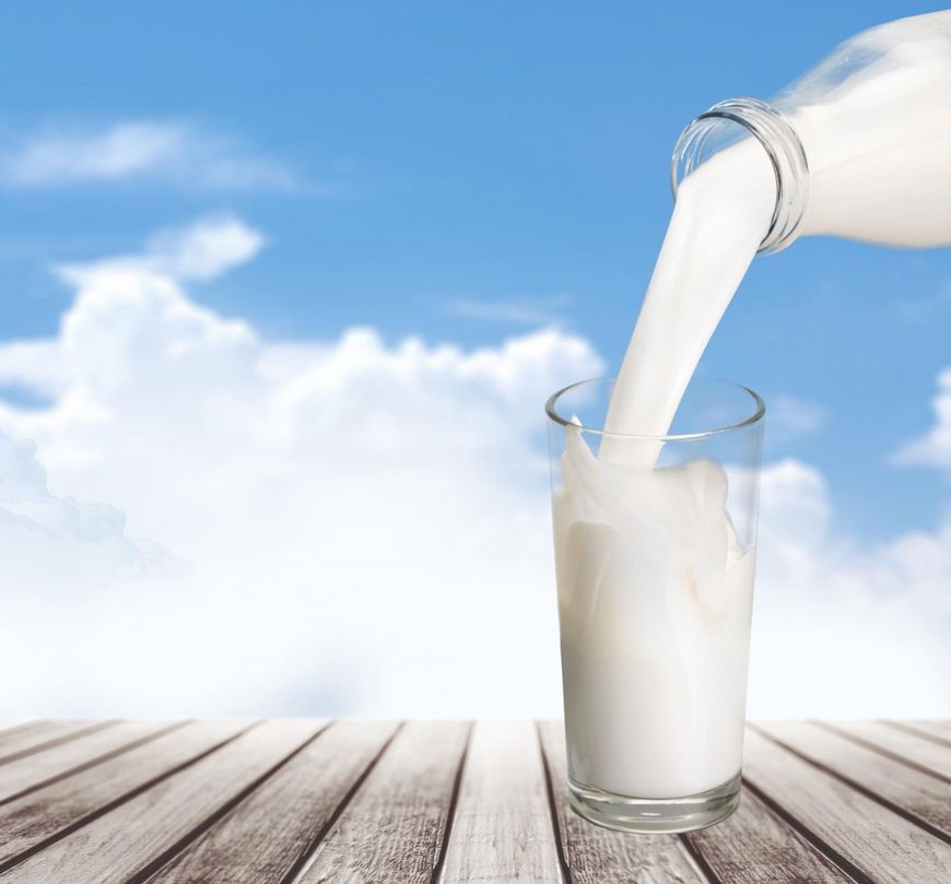Najlepsze będzie mleko niepasteryzowane, ale należy pamiętać, że ma o 4-5% więcej tłuszczu, niż to ze sklepu