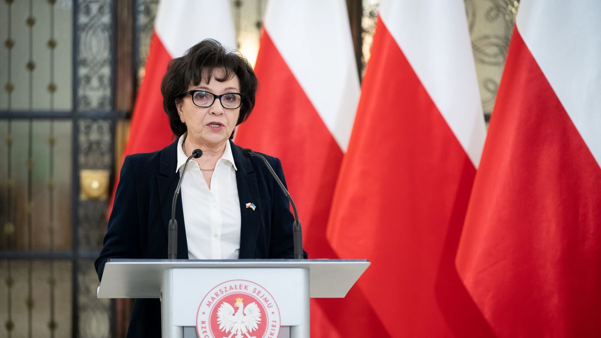 Marshal of the Sejm Elzbieta Witek during the 50th session of the Sejm (lower house of Polish Parliament) in Warsaw, Poland on March 8, 2022 (Photo by Mateusz Wlodarczyk/NurPhoto via Getty Images)