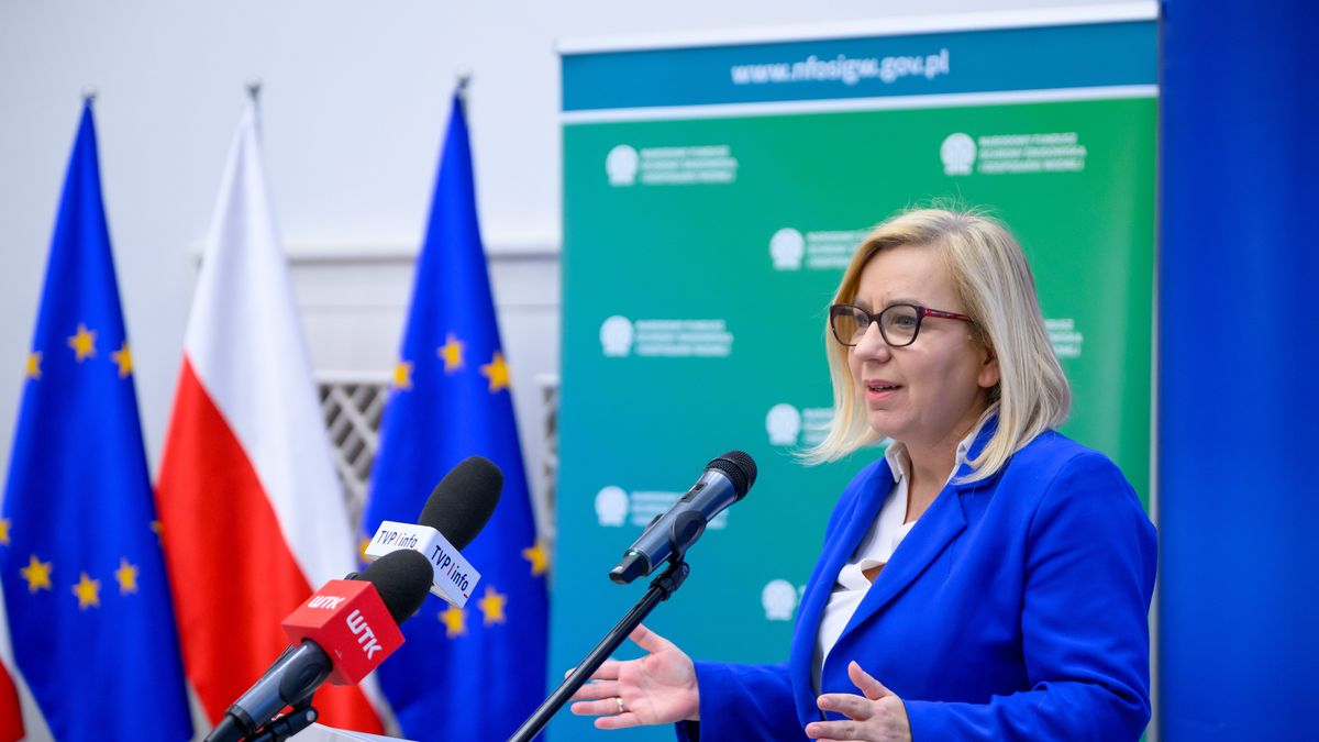 Konsultacje zakończone. Hennig-Kloska mówi, kiedy wróci program "Czyste Powietrze"