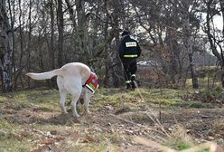 Policja przeszukuje pas nadmorski w Gdańsku. Szuka śladów mordercy 17-letniej Agaty