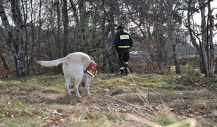 Policja przeszukuje pas nadmorski w Gdańsku. Szuka śladów mordercy 17-letniej Agaty
