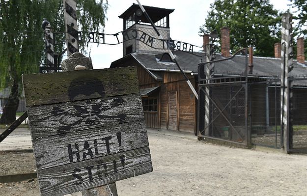 Stacze w kolejce do Muzeum Auschwitz