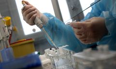 Ponad 533 tys. osób z Pomorza zachorowało na grypę. Pięć z nich zmarło