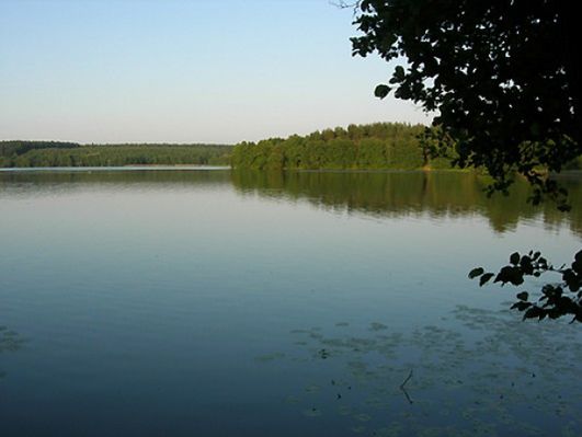 Obraz