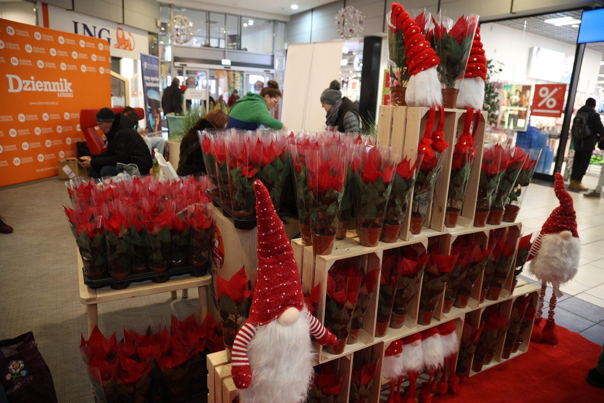 Każdy kto oddał elektrośmieci otrzymywał wyjątkową roślinę.