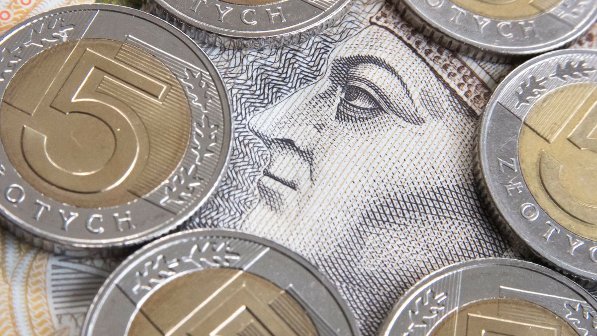 Złoty może pozostać w trendzie bocznym, długoterminowo będzie miał problem przez impuls fiskalny rządu.