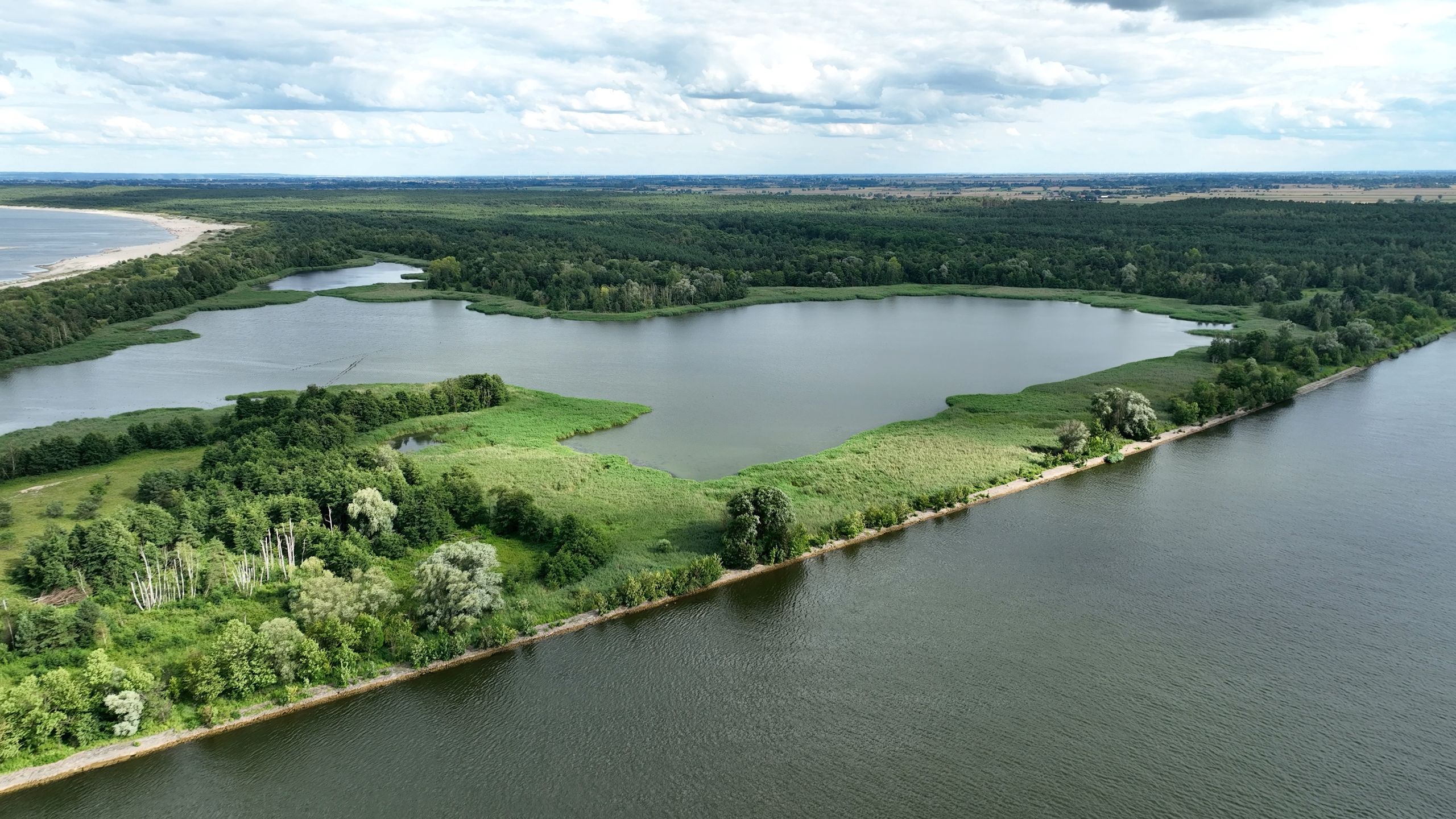 Rezerwat przyrody Mewia Łacha
