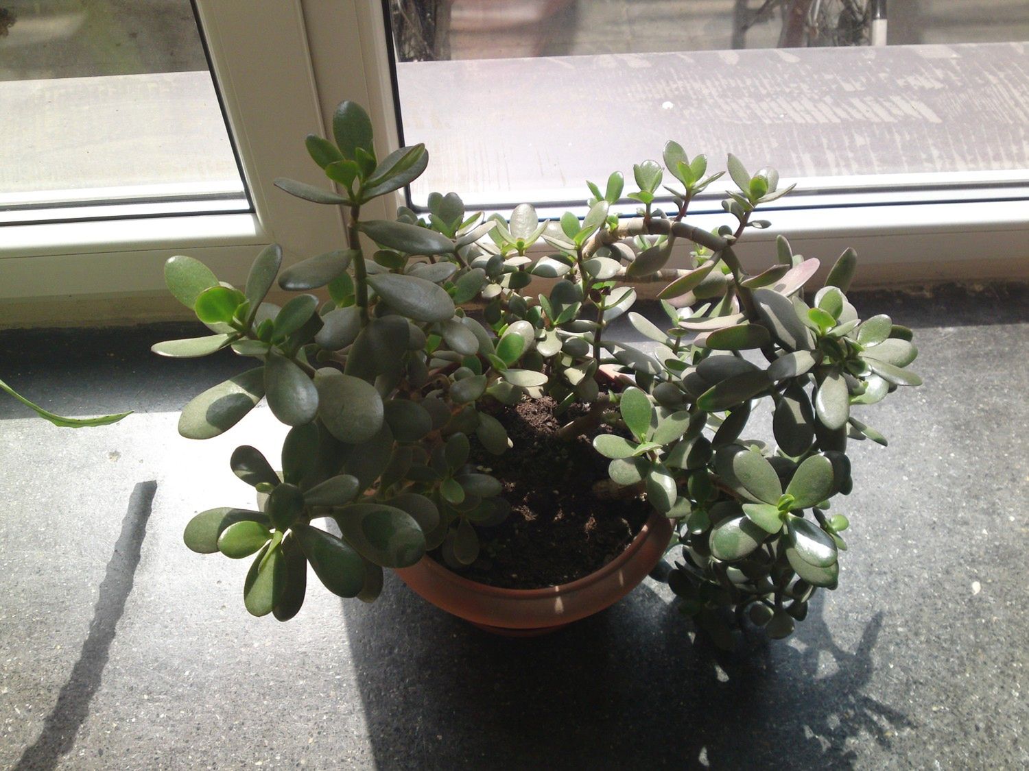 Sony Ericsson Satio - test 39