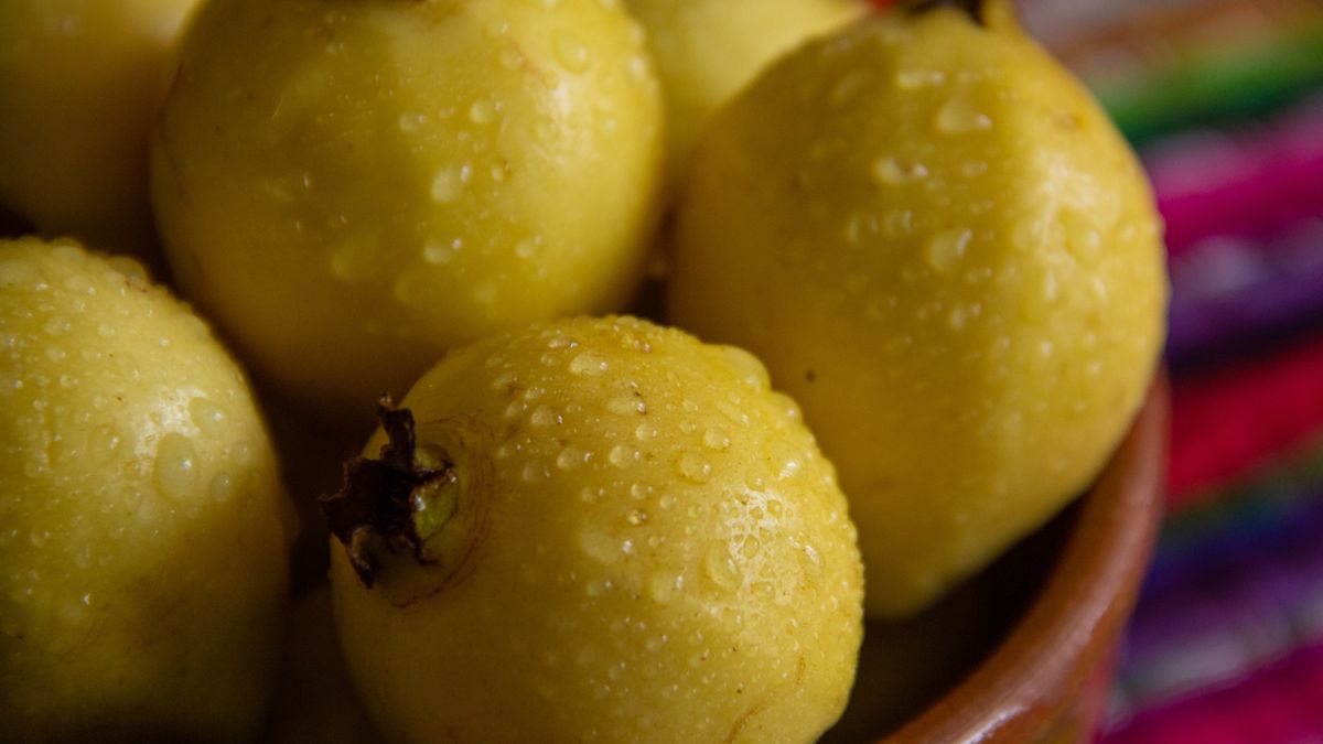 Nalewka z gruszek pomaga przy problemach z układem moczowym