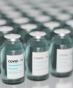 Szczepionka na COVID-19 Pfizer. Jedna dawka zmniejsza już ryzyko zakażenia koronawirusem
