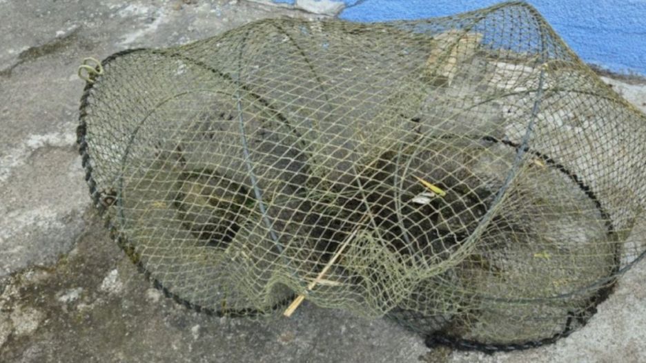 Nielegalny połów ryb nad Gopłem. 