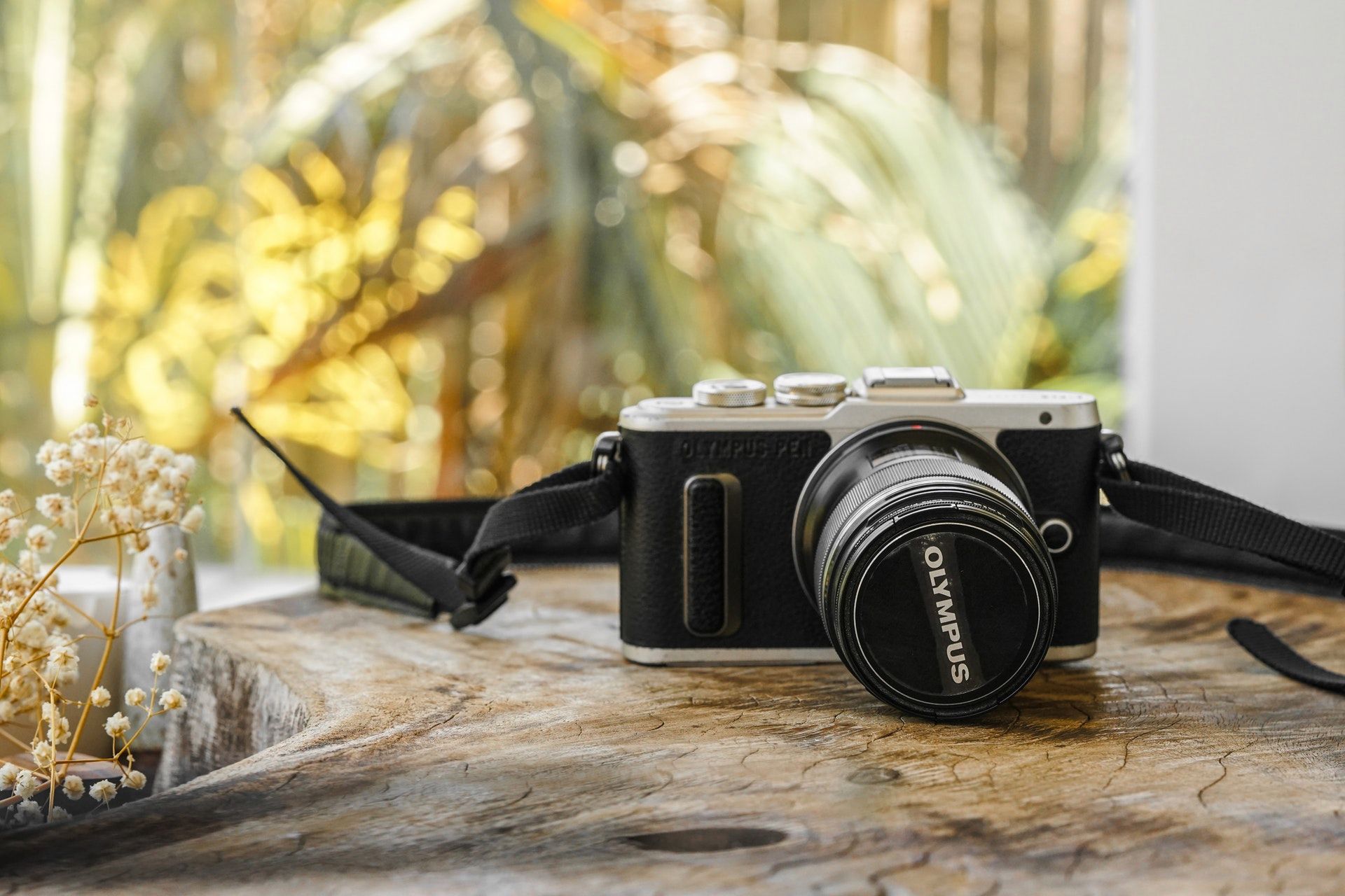 OM Digital Solutions zapowiada wydanie nowego sprzętu do dawnych Olympusów 1