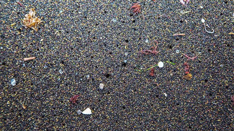 Naukowcy znajdują coraz więcej mikroplastiku w naszych ciałach