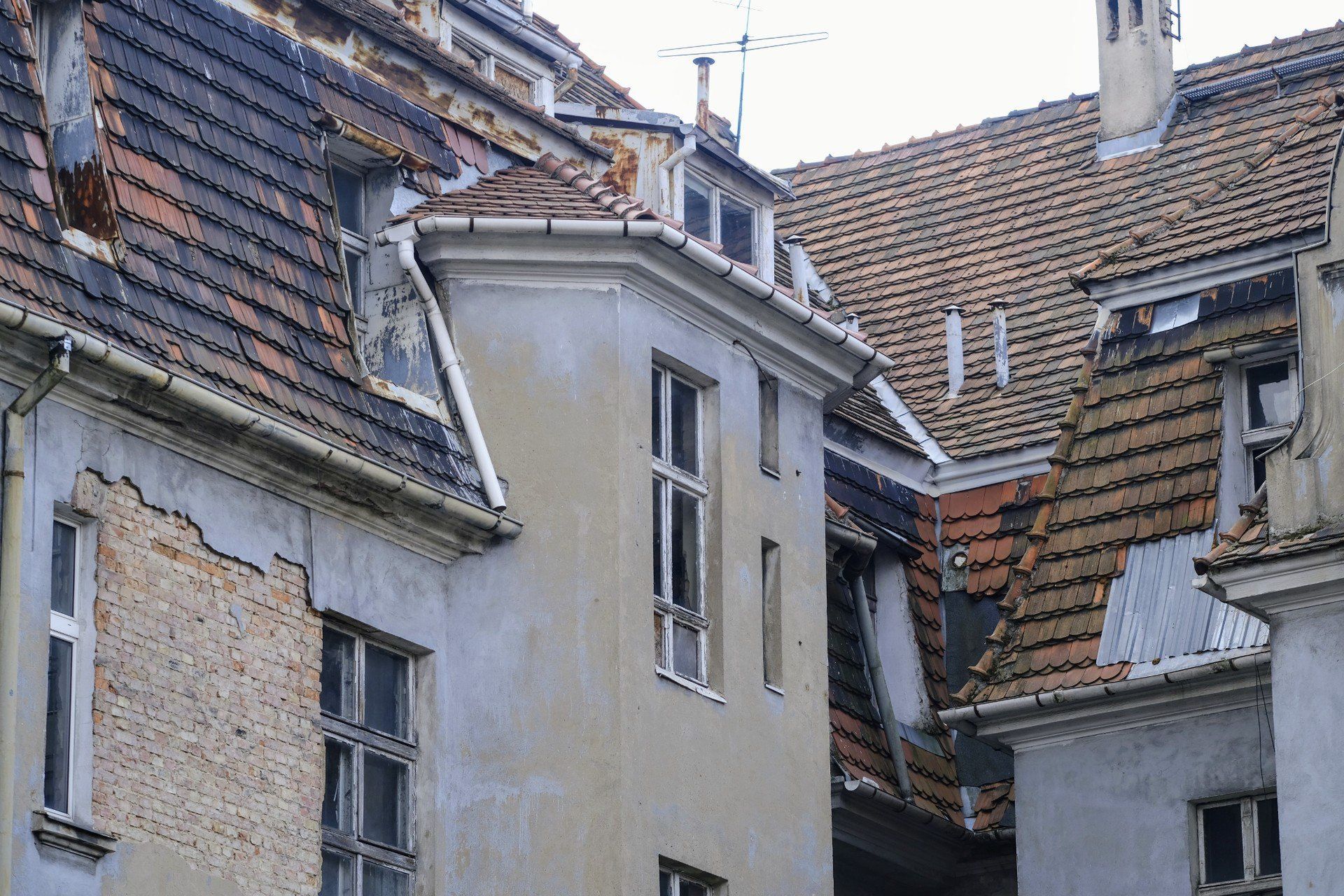 Zrujnowana kamienica przy ul. Mickiewicza 29 w Poznaniu