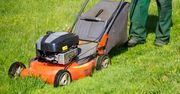 Przygotowujesz ogród na lato? Oto co zrobić z trawą