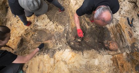 Dawne więzienie "Toledo". Makabryczne odkrycie archeologów w Warszawie