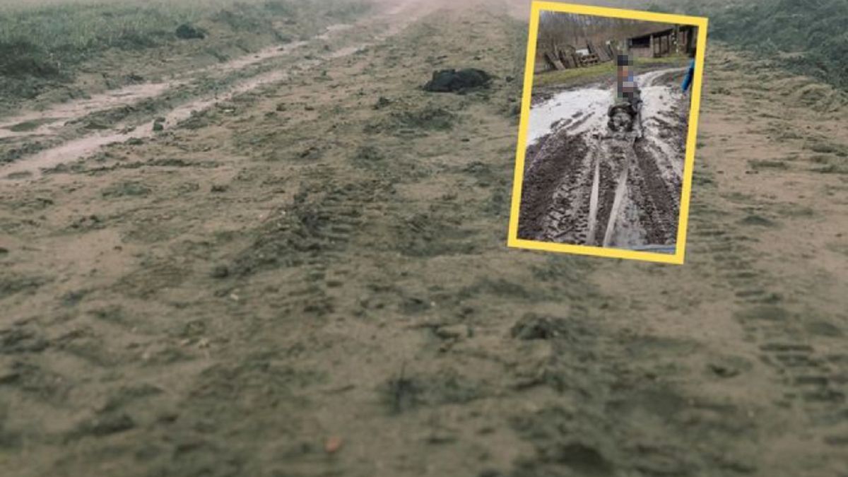 Firma zorganizowała dzieciom kulig błotny  