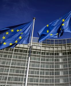 Polacy gotowi na zmiany? Reakcje na decyzję PE