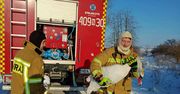 Mazury. Strażacy uwolnili łabędzie przymarznięte na jeziorach