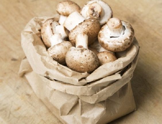 Mushrooms in a Paper Bag