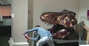 Student z Niemiec włamał się do muzeum, żeby zrobić selfie z dinozaurem