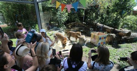 Wrocławskie ZOO ostrzega. "Chcemy Was uczulić"