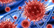 Rekord zakażeń wirusem HIV! Eksperci alarmują