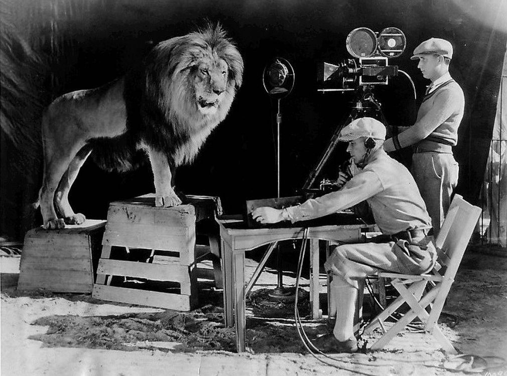 Lew Jackie podczas nagrania, używanego na początku filmów MGM w latach 1928–1956