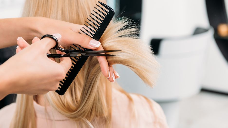 cropped image of hairdresser trimming ends of blonde hair
beautiful,business,customer,equipment,studio,female,people,women, beautiful, business, customer, equipment, studio, female, people, women, beauty, hair, girls, cutting, preparation, care, hands, fashion, occupation, professional, work, comb, blonde, hairdresser, profession, scissors, attractive, client, partial, stylist, faceless, copy space, selective focus, young adults, beauty salon, hair salon, working place, cropped image, trimming ends