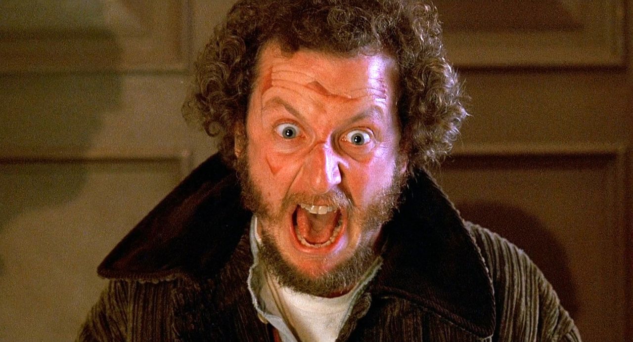 Daniel Stern played a thief in the movie "Home Alone"