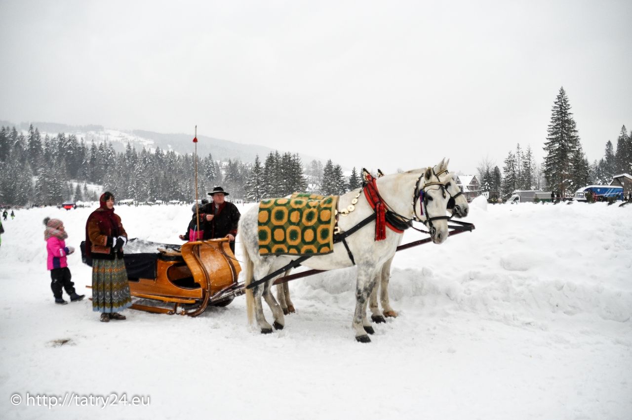 53. Góralski Karnawał w Bukowinie Tatrzańskiej – tradycja i folklor na najwyższym poziomie