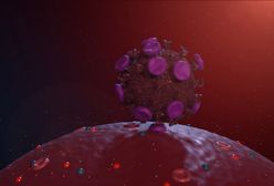 Koronawirus Australia. Rośnie liczba zakażonych. Granica między dwoma stanami zamknięta