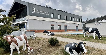 Skąd się biorą dziury w serze? Zaskakujące muzeum na Podlasiu