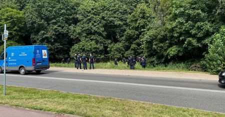 Psy pogryzły go podczas zbierania grzybów. Nie żyje
