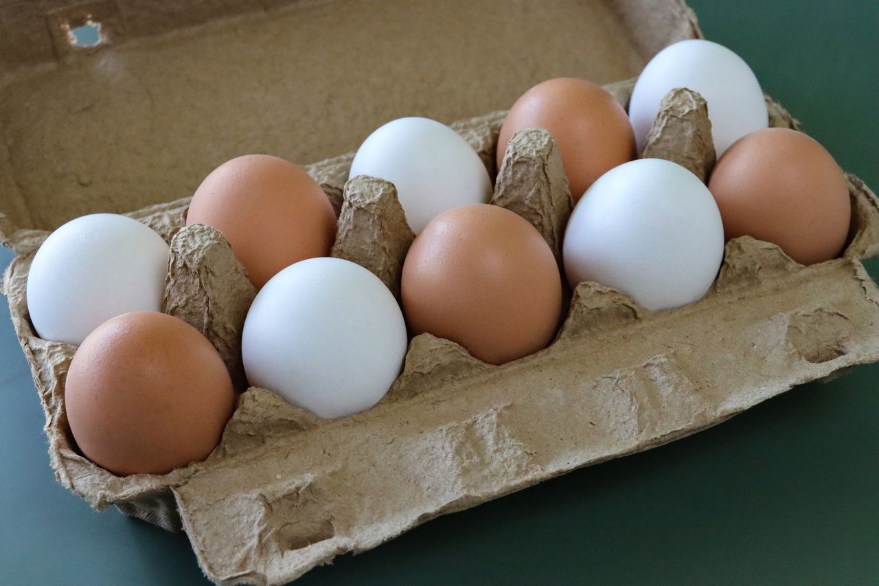 Gdzie wyrzucać wytłaczanki po jajkach? Wiele osób popełnia błąd