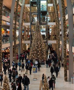 Niedziela handlowa 18 grudnia. Zakupy przed świętami możliwe w wielu sklepach