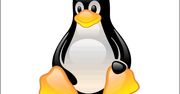 Linux skończył 18 lat. Wszystkiego najlepszego